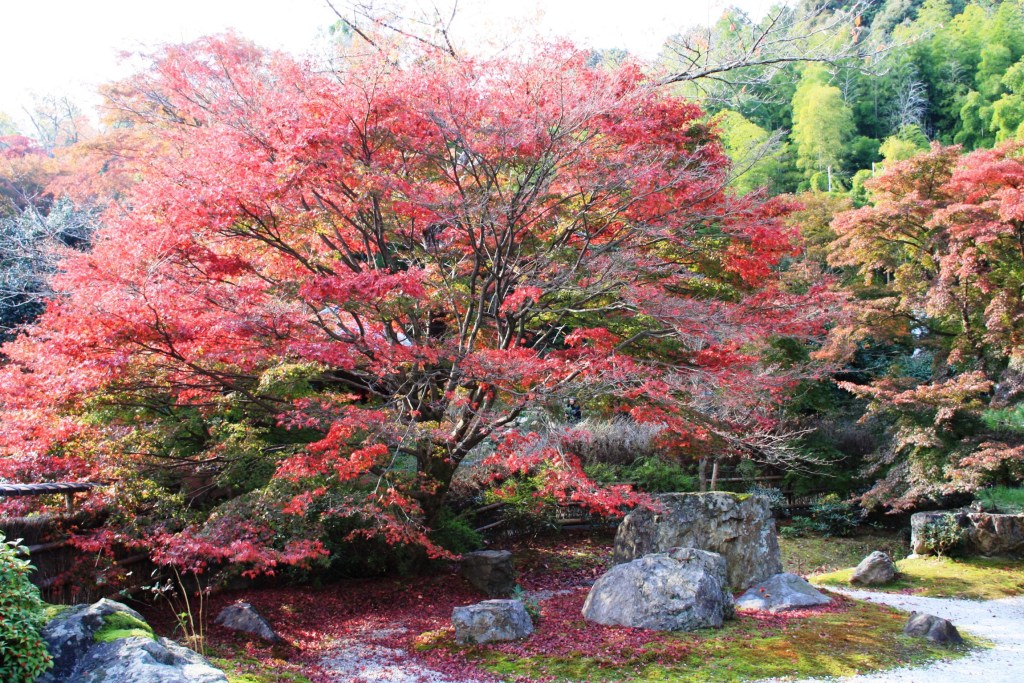 画像に alt 属性が指定されていません。ファイル名: img_0066.jpg