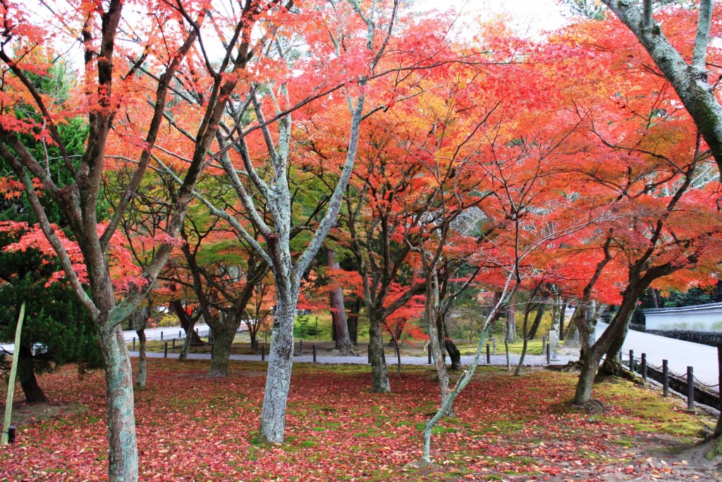 画像に alt 属性が指定されていません。ファイル名: img_0302.jpg